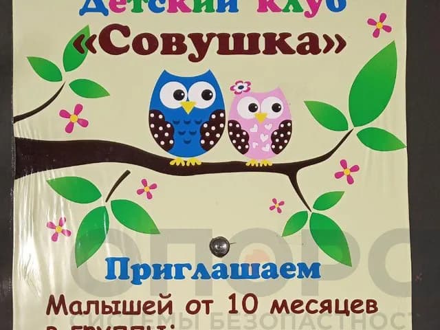 Видеодомофон (детский клуб «Совушка»)