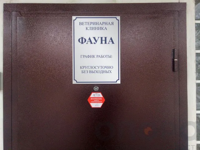 Видеонаблюдение (Ветклиника «Фауна»)