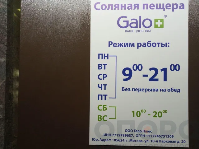 Видеодомофон («Гало-Плюс»)