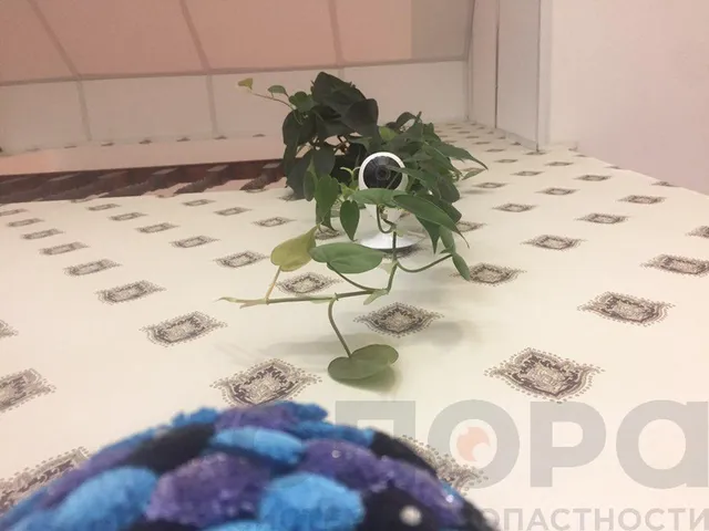 Видеонаблюдение (ул. Береговая)