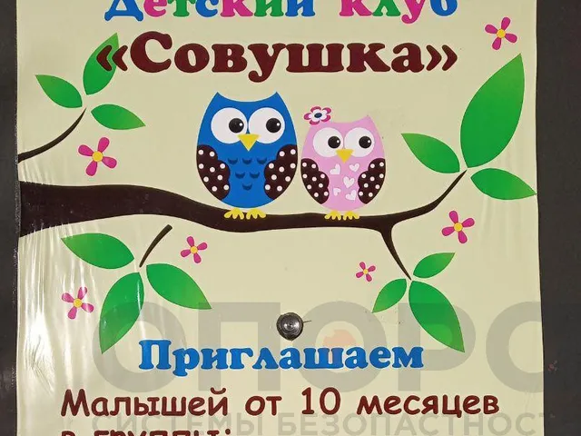 Видеодомофон (детский клуб «Совушка»)